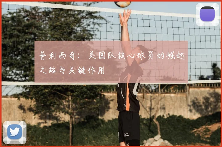 普利西奇：美国队核心球员的崛起之路与关键作用